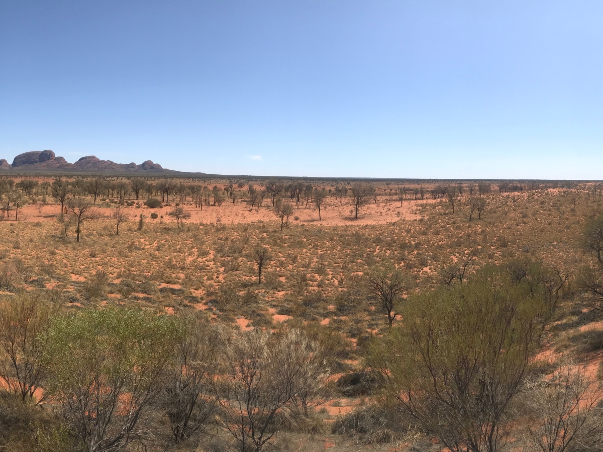 The Land Down Under – Pt II: de tien geboden van de outback