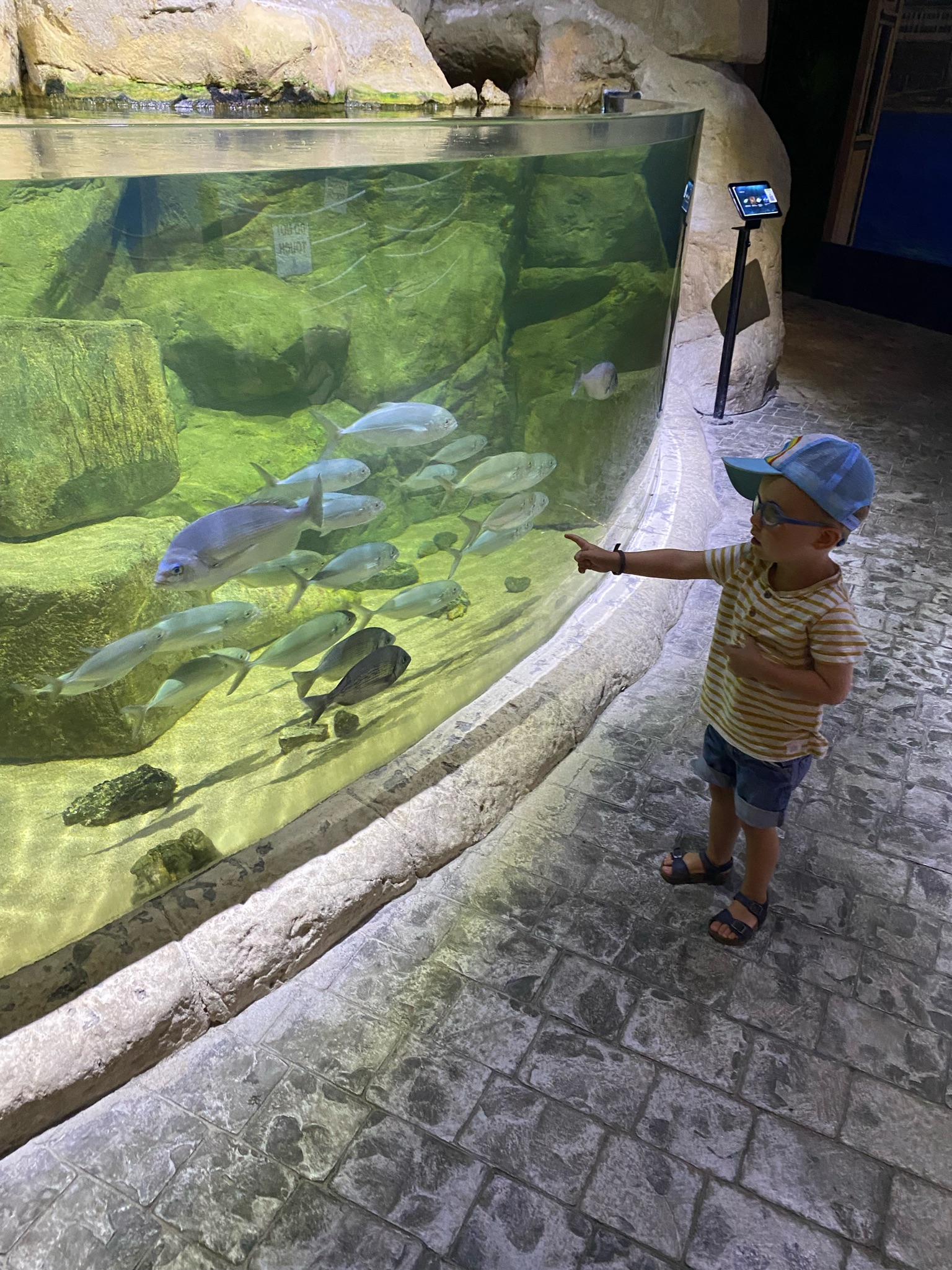 Aquarium Buggibba Malta