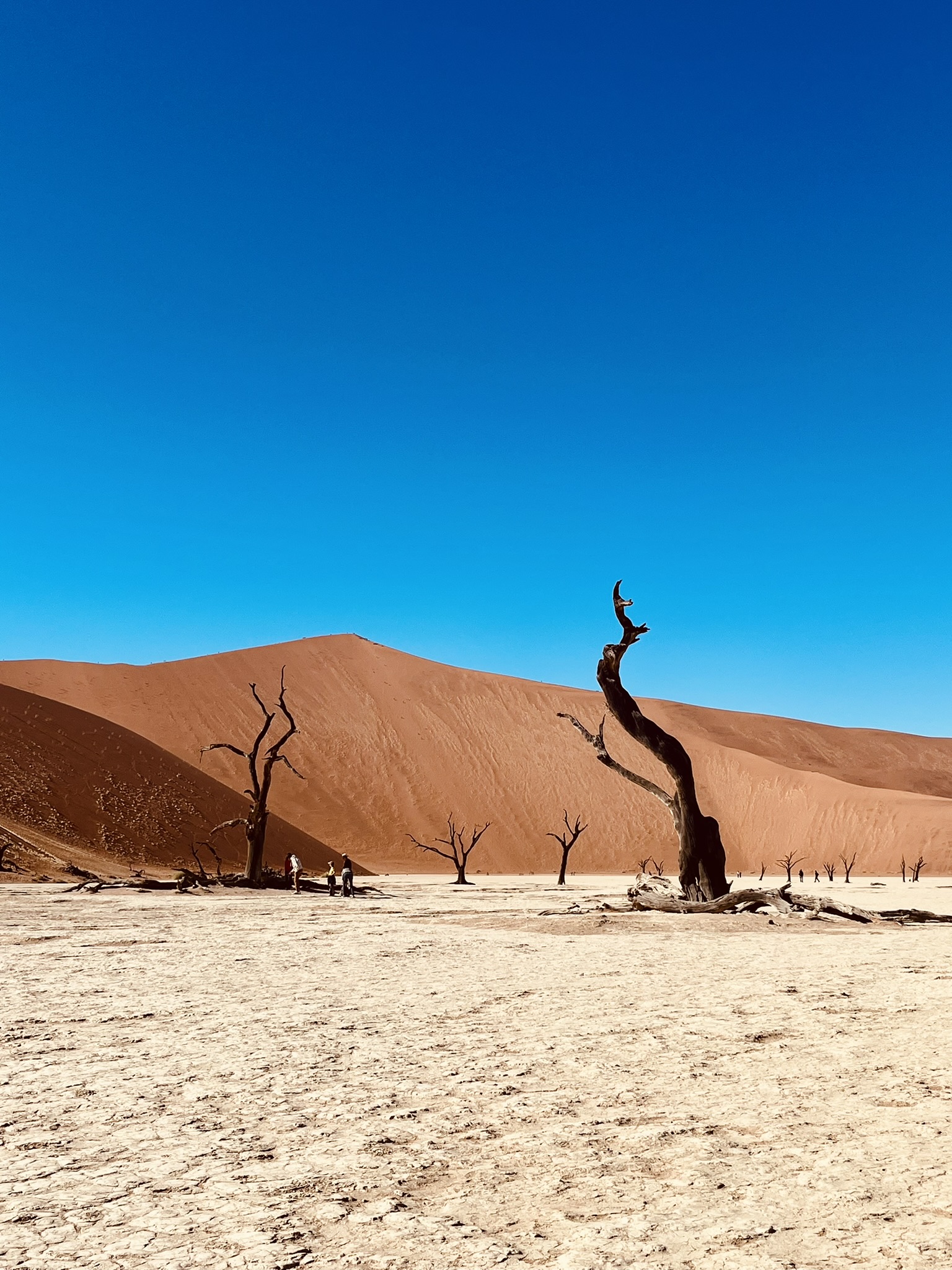 Deadvlei in Namibië