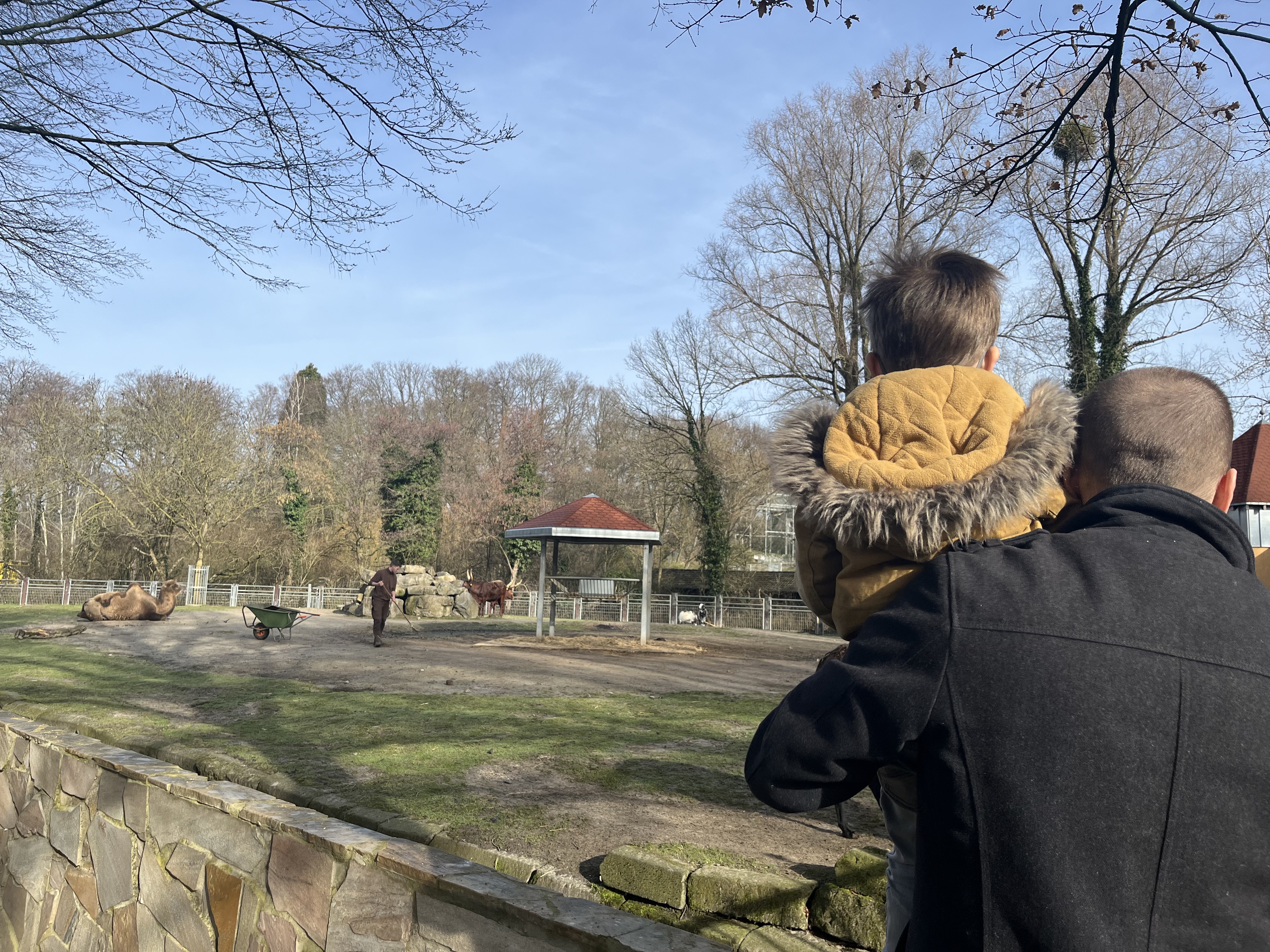 Aachen dierenpark